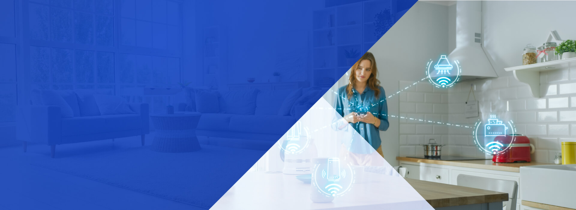 Audit and protection of home networks